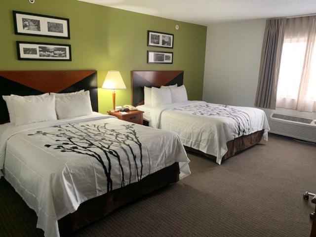 Sleep Inn South Bend Airport Rum bild
